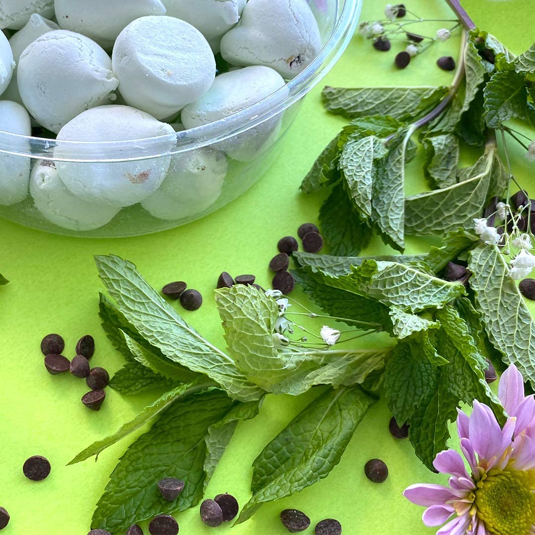 Mint Chocolate Chip