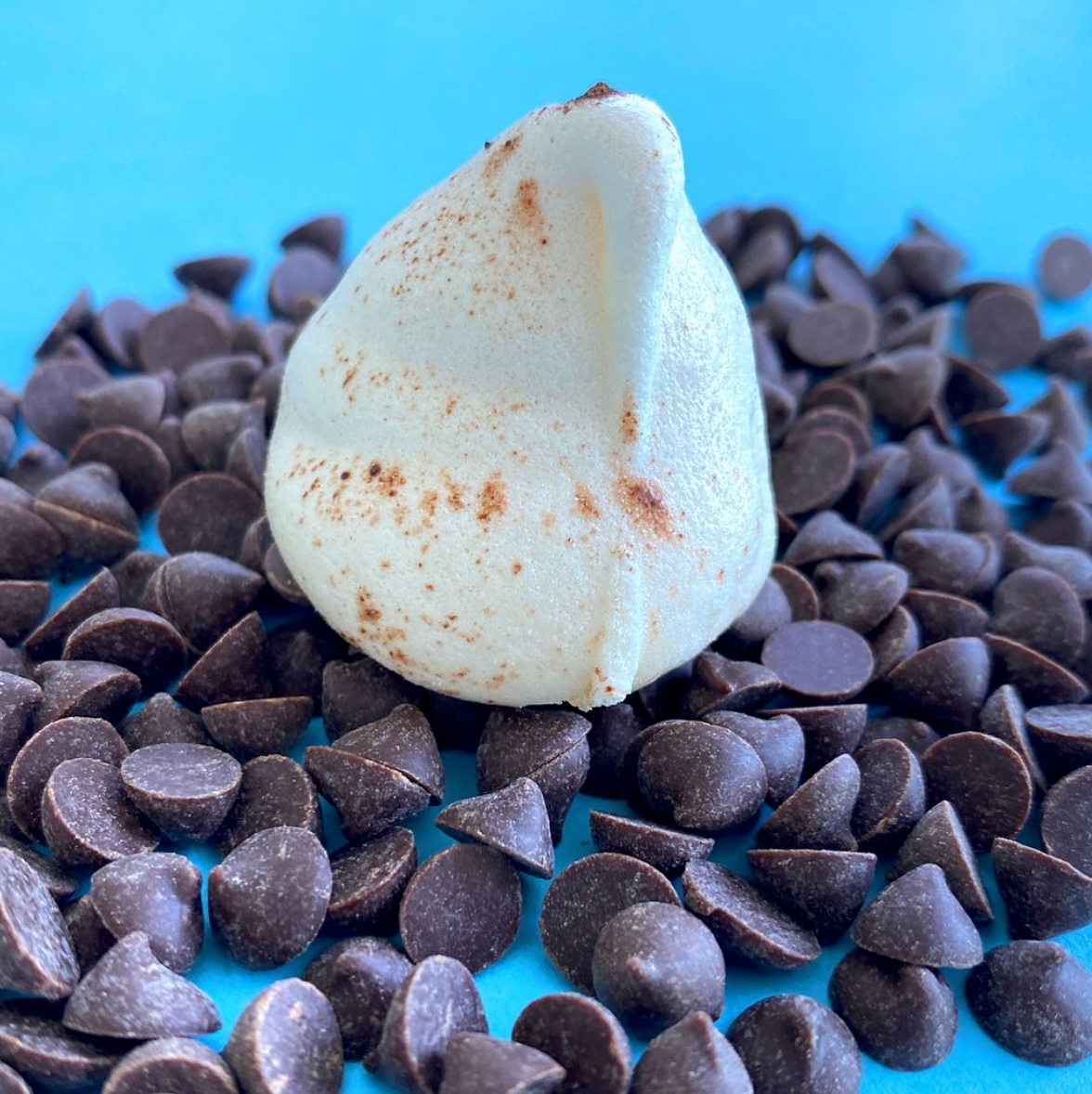 Chocolate Chip